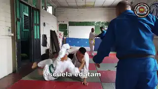 contenido de enseñanza