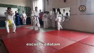 contenido de enseñanza