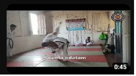 contenido de enseñanza