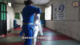 contenido de enseñanza