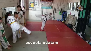 contenido de enseñanza