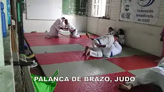 contenido de enseñanza