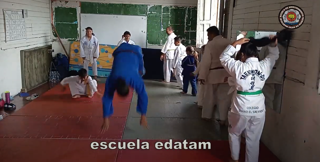 contenido de enseñanza