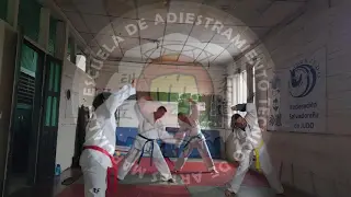 contenido de enseñanza