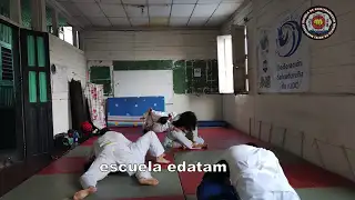 contenido de enseñanza